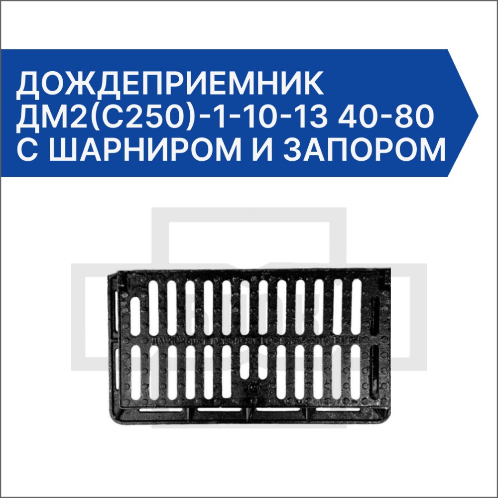 Дождеприемник ДМ2(С250)-1-10-13 40-80 с шарниром и запором