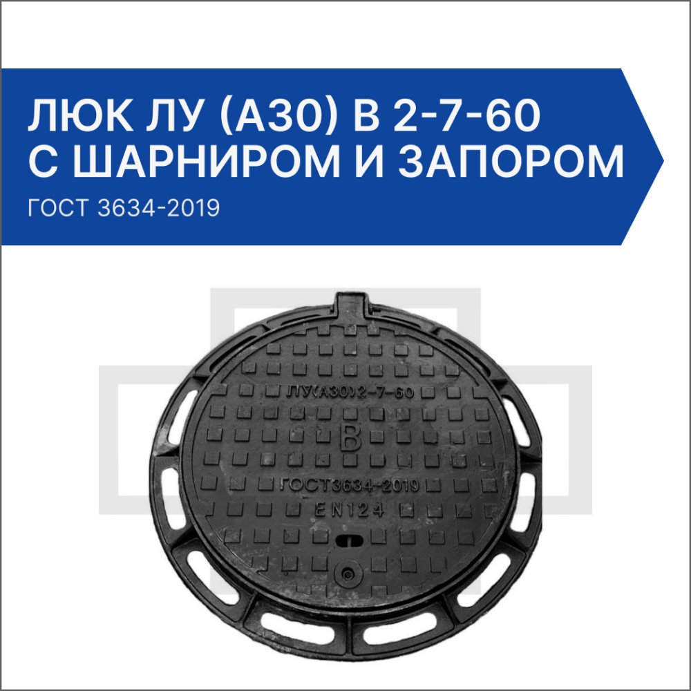 Люк ЛУ (A30) В 2-7-60 с шарниром и запором
